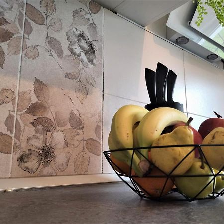 Apartment Lana Svetvinčenat Extérieur photo