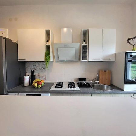 Apartment Lana Svetvinčenat Extérieur photo