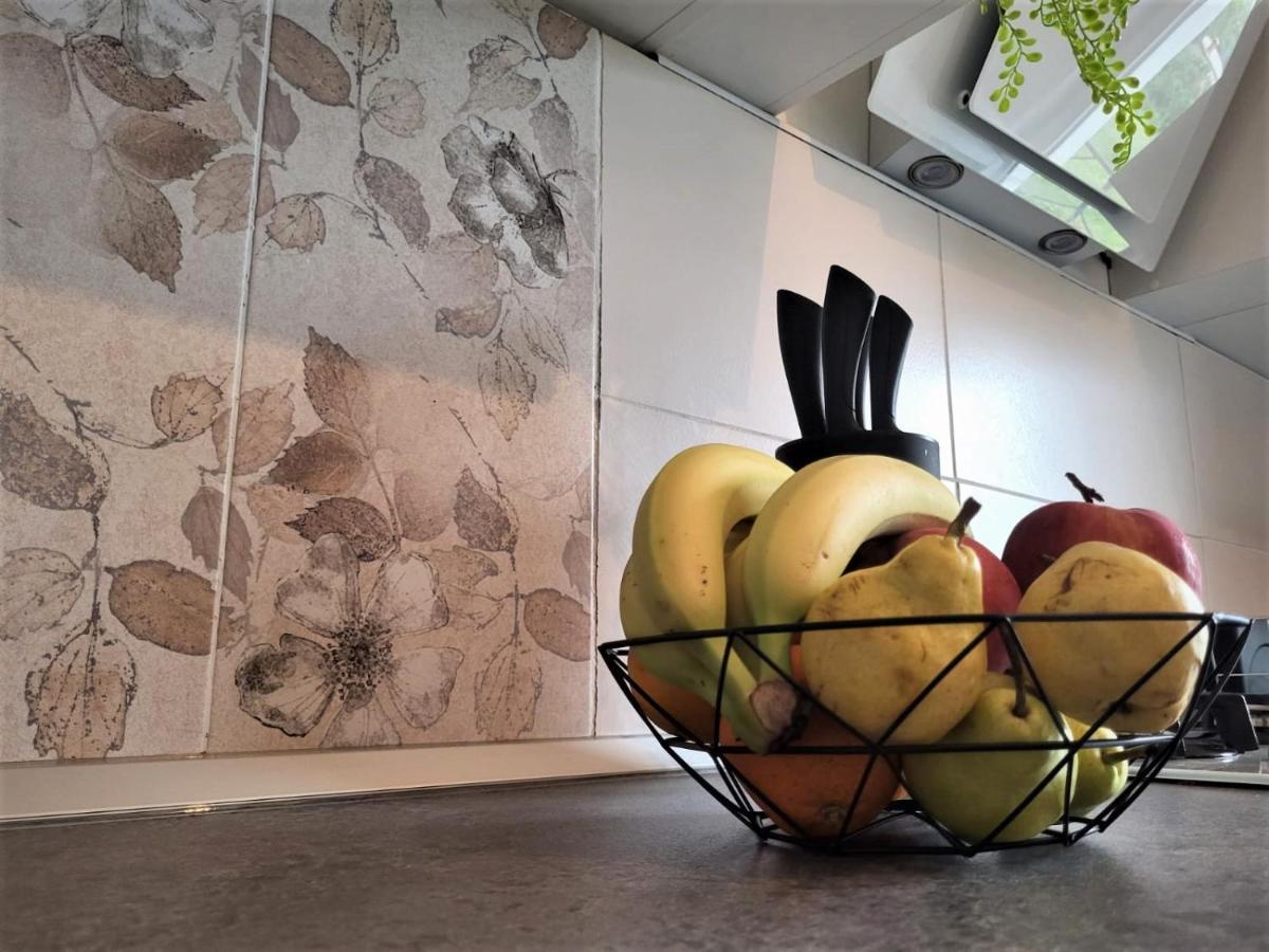 Apartment Lana Svetvinčenat Extérieur photo