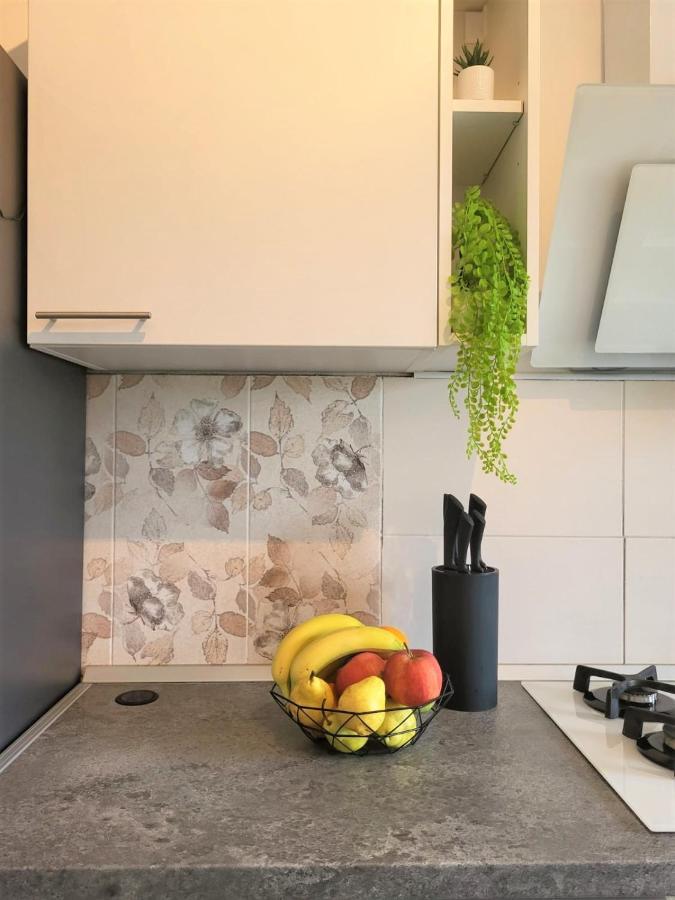 Apartment Lana Svetvinčenat Extérieur photo